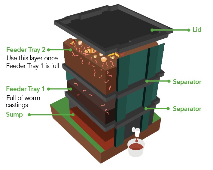 Growing worm farm