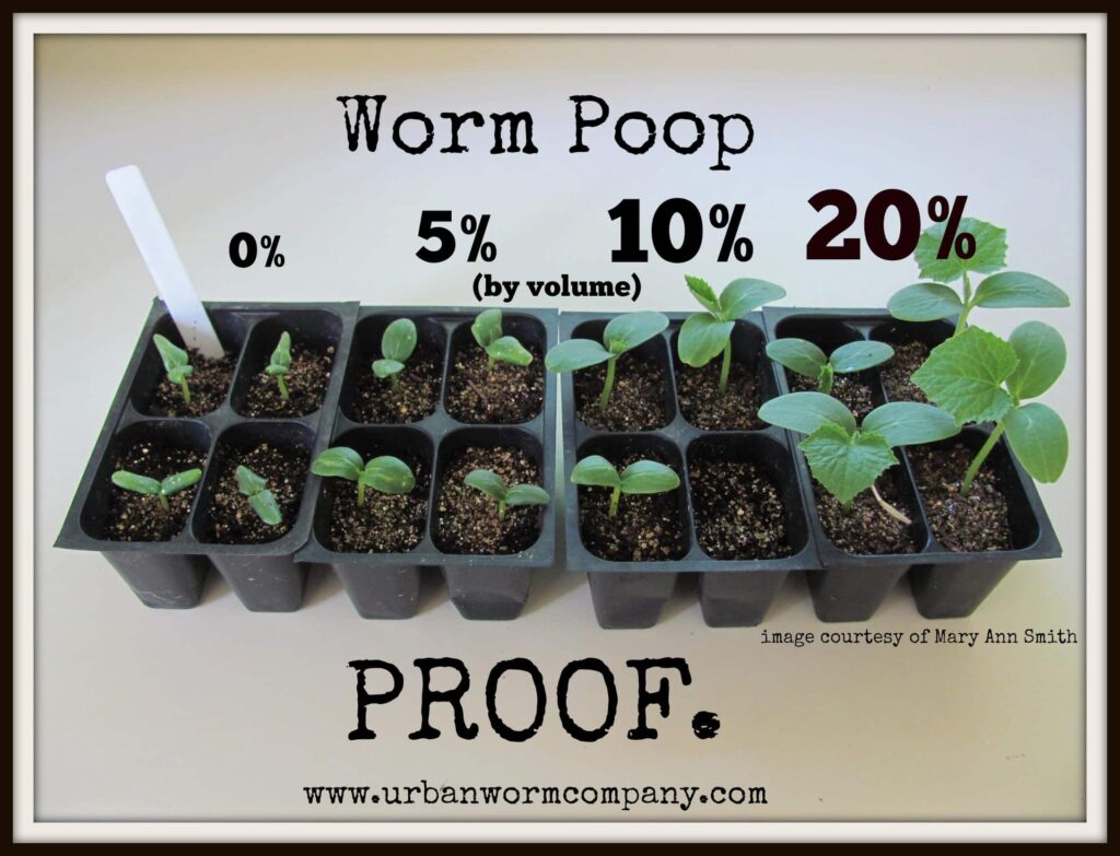 Worm Poop
