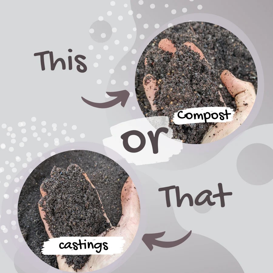 Castings vs Compost